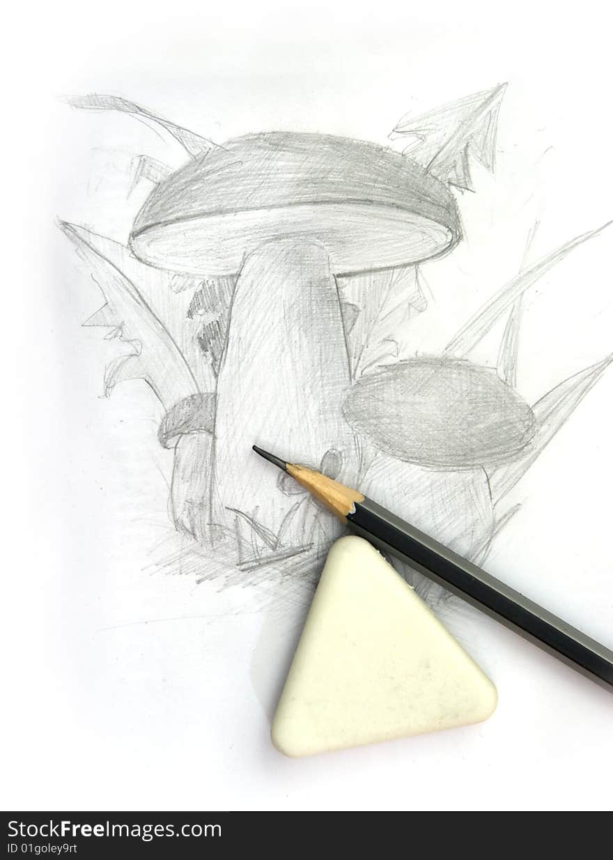 Picture of mushroom and pen with rubber