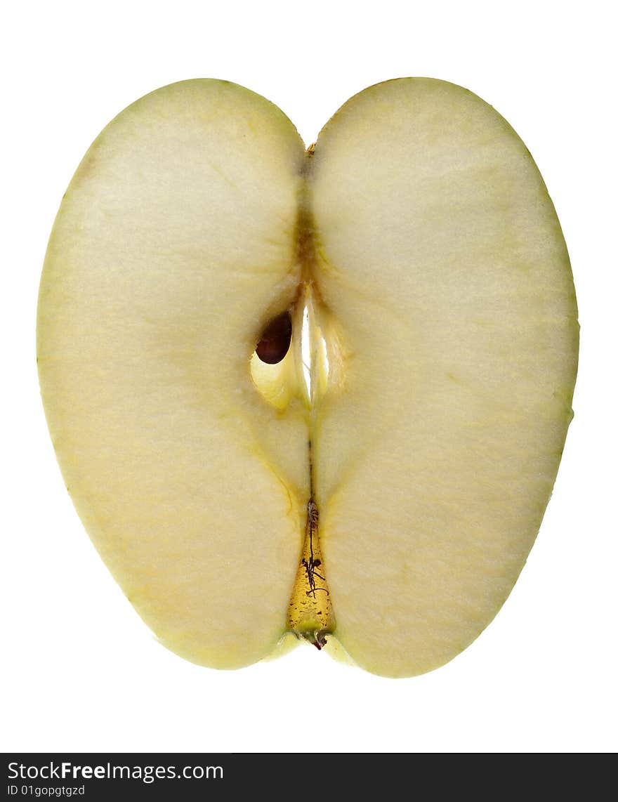 Cross section of an Apple