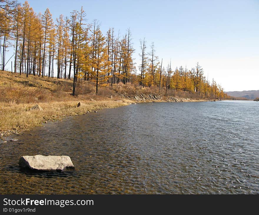 Autumn colors in landscape with blue sky in wildness. Autumn colors in landscape with blue sky in wildness