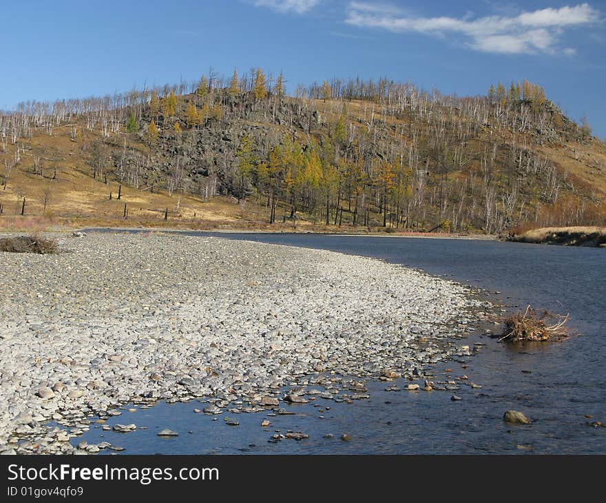 Autumn colors in landscape with blue sky in wildness. Autumn colors in landscape with blue sky in wildness