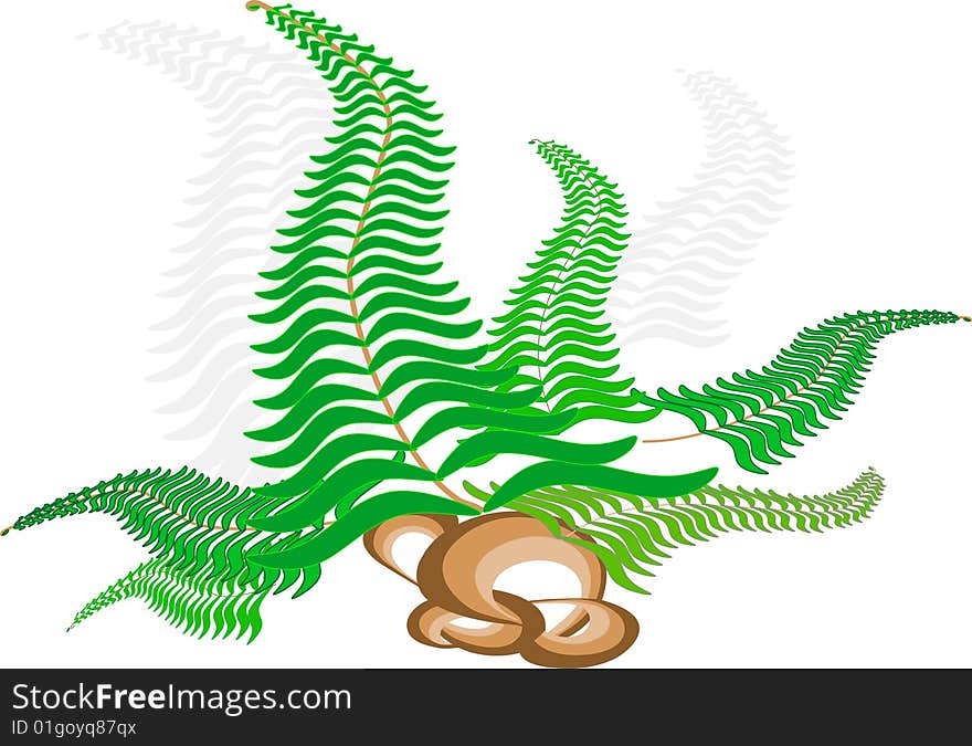 Fern growing out of smooth stones.  Background. Vector illustration. Fern growing out of smooth stones.  Background. Vector illustration.