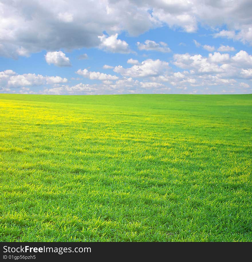 Field on a background of the blue sky. Field on a background of the blue sky