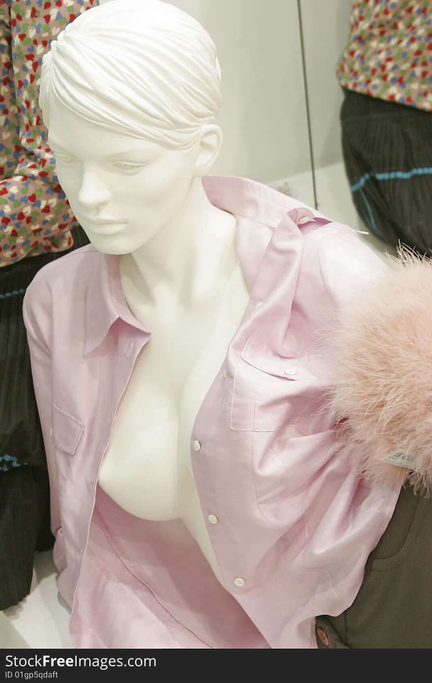 Mannequin in store