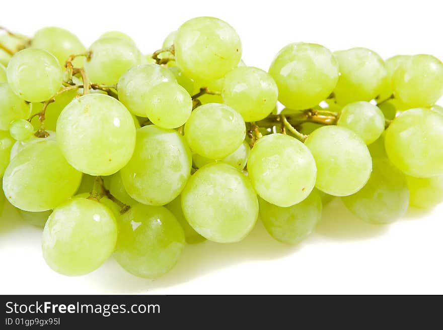 White Grapes