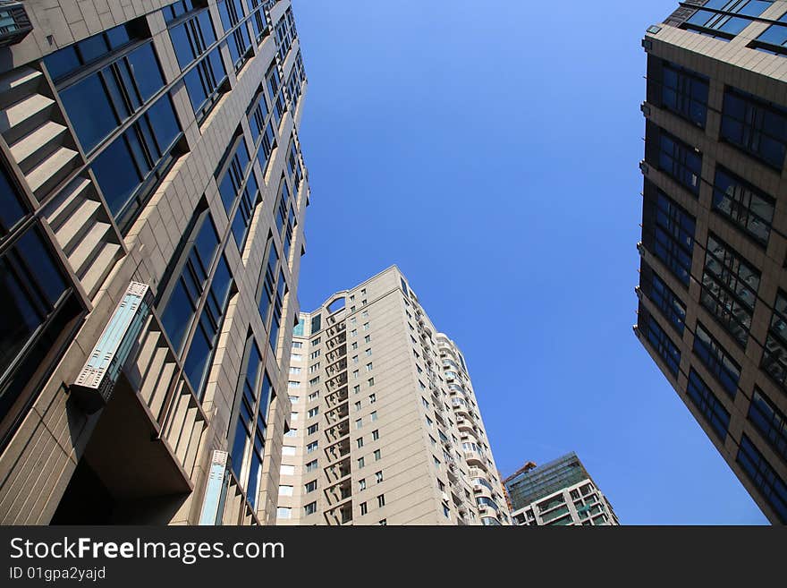 The modern building in shanghai.