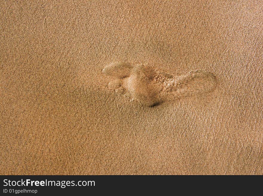 Foot trace on  the beach. Foot trace on  the beach