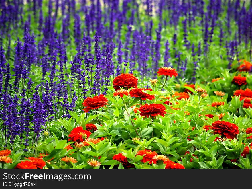 Two flower border pieces in the park