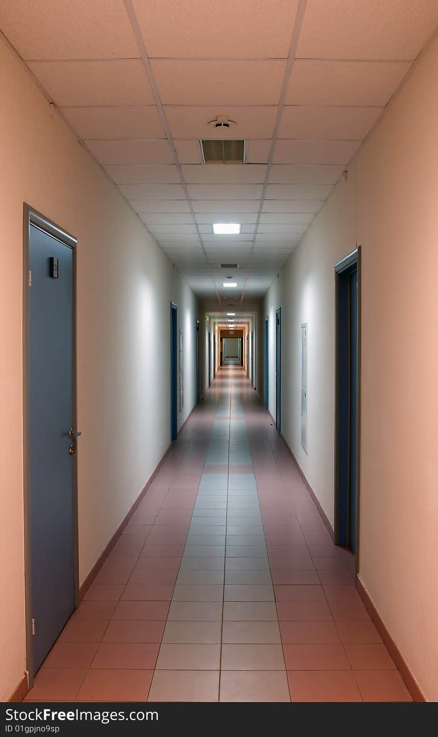 Long corridor in office building