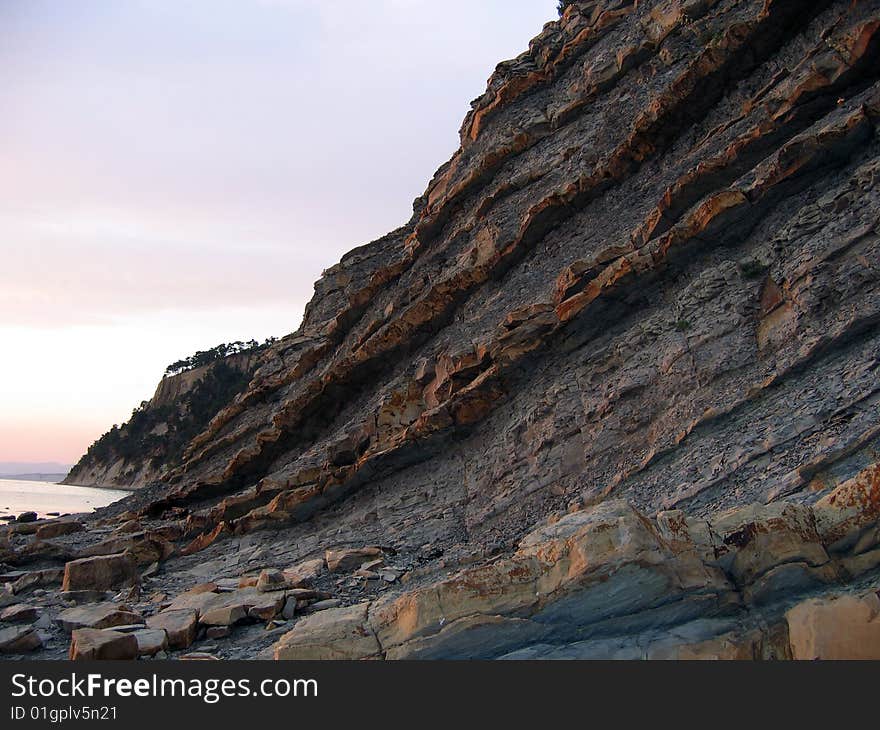 Pronounced layers of rock in the rock. Relict trees on a rock