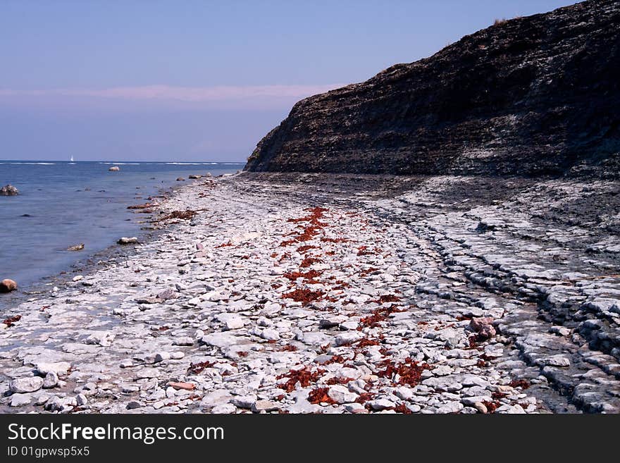 Neptuni fields seaside