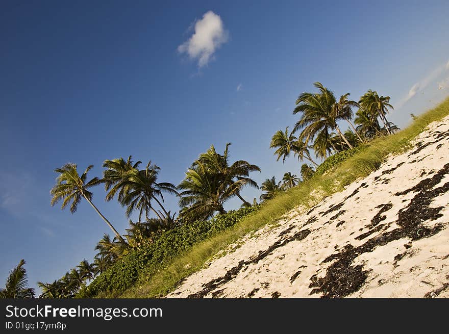 Blue sky and a fluffy cloud on the beach