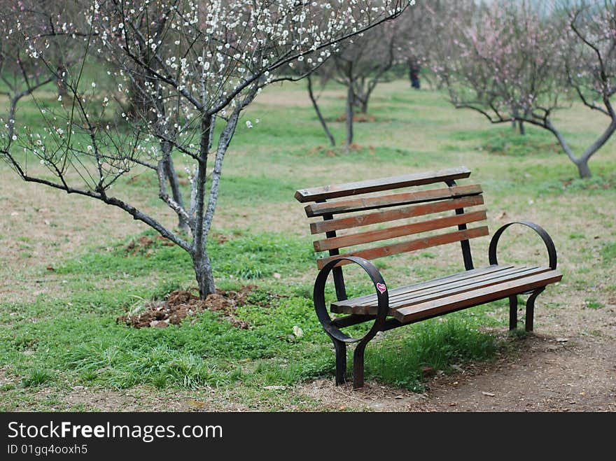 bench