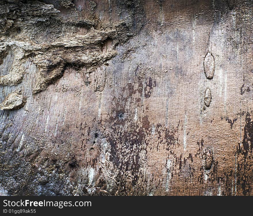 Beautiful Old Wooden Texture