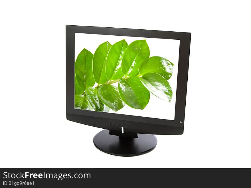 monitor isolated on white backround. monitor isolated on white backround