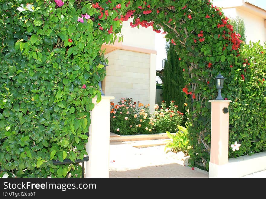 Red and pink flowers arch at the house.