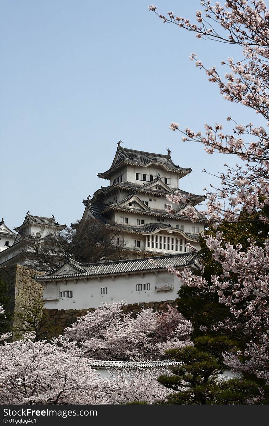 Castle Among Cherry Blossoms