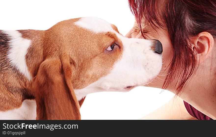 Cute beagle puppy and woman on a white background. Cute beagle puppy and woman on a white background