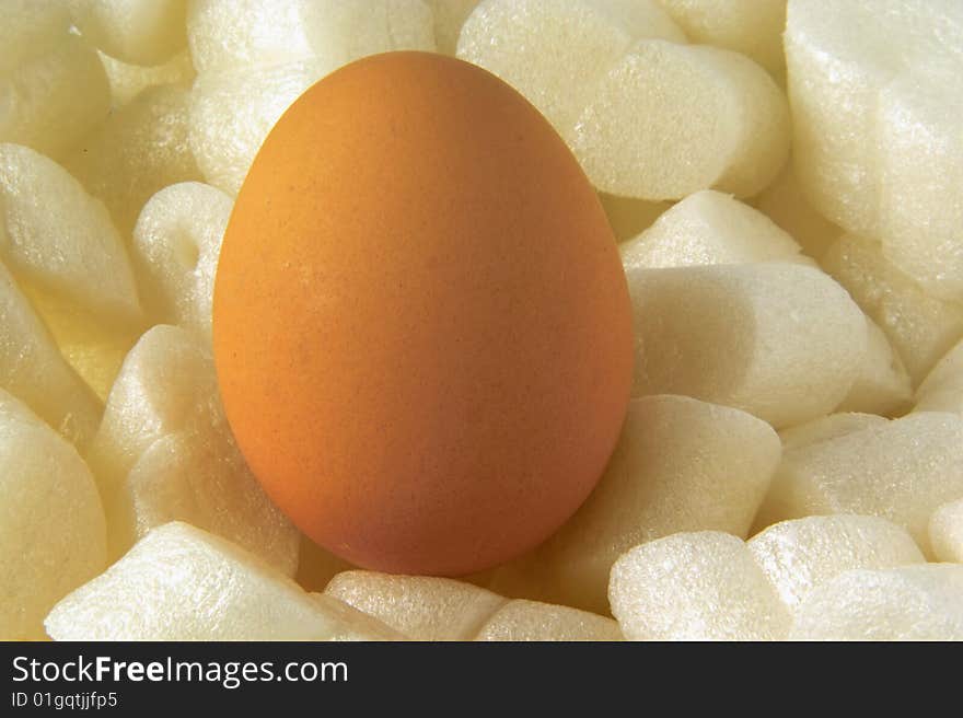 Single Egg sheltered by Pieces of Foam