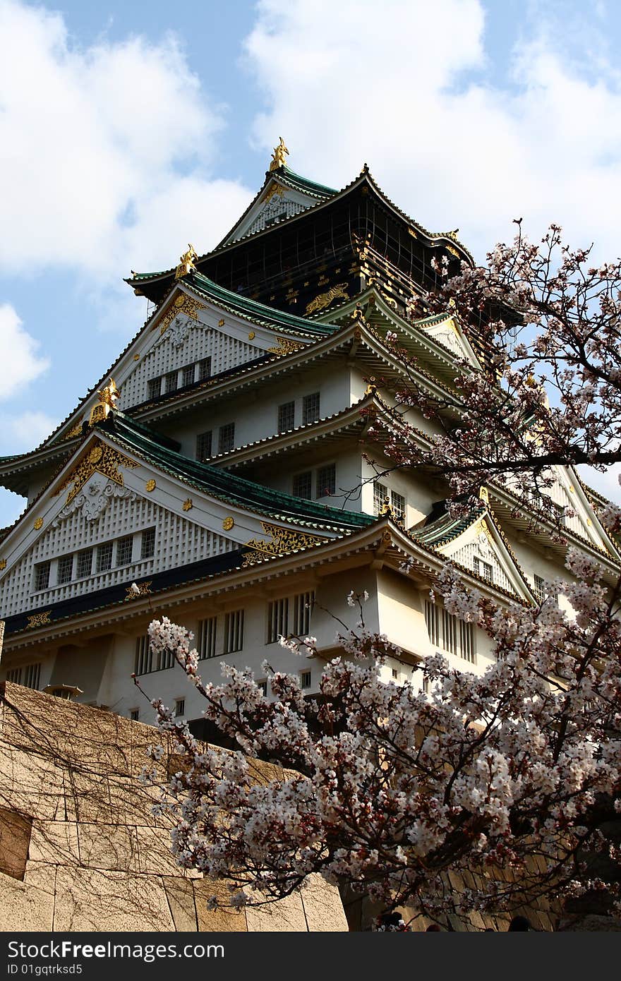 Castle among cherry blossoms