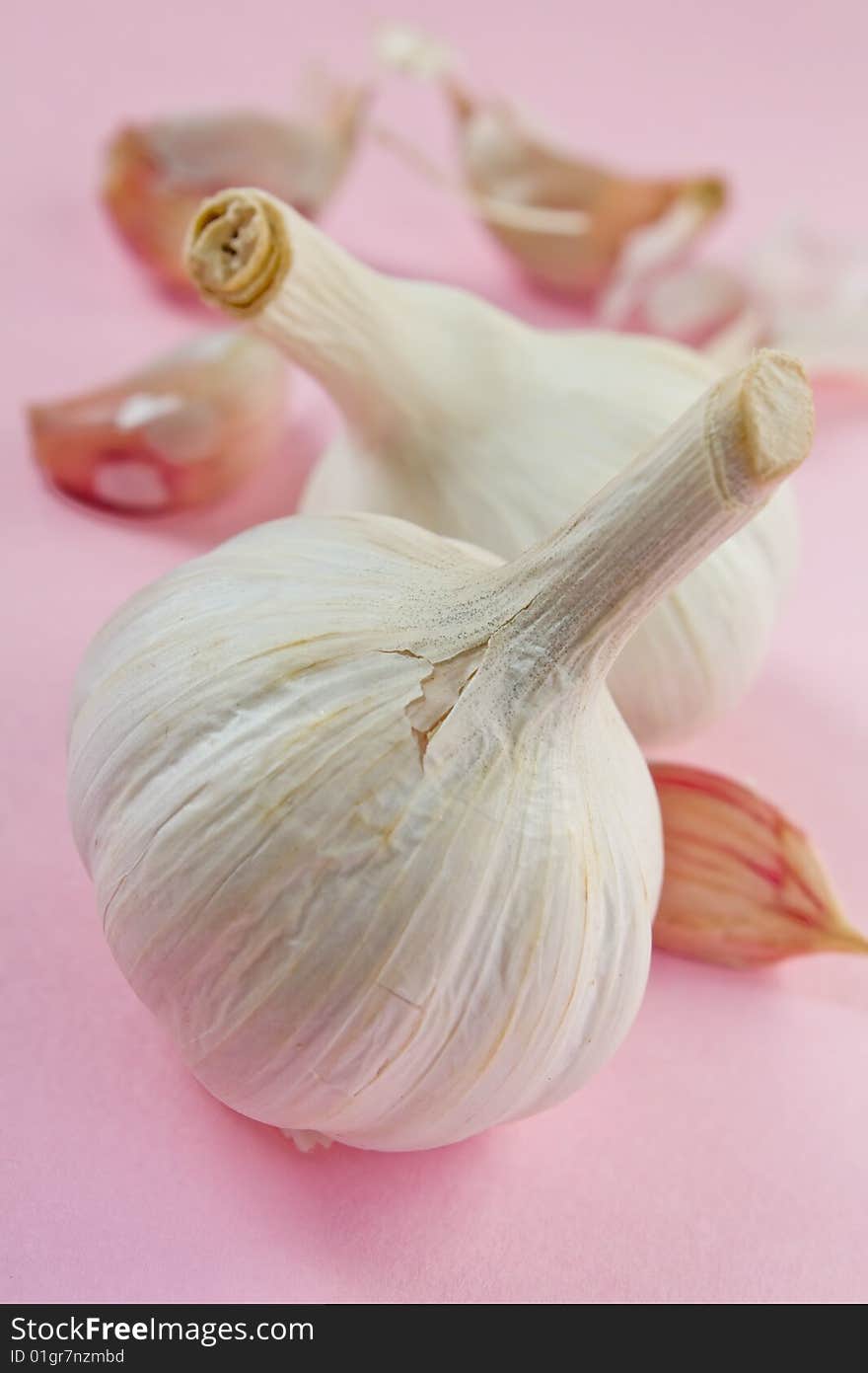 Two white garlic on pink back ground