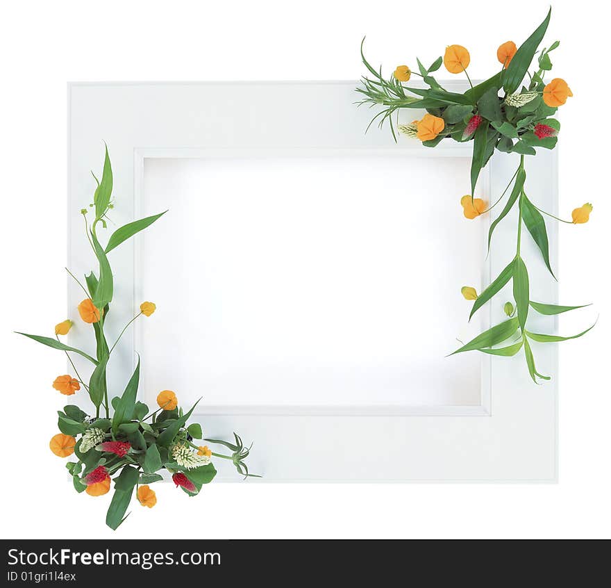 Flowers in a frame