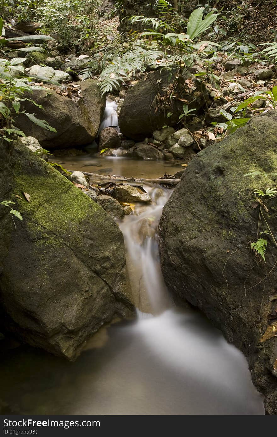 A small waterfall softly flows through a rain-forest sourounding. A small waterfall softly flows through a rain-forest sourounding