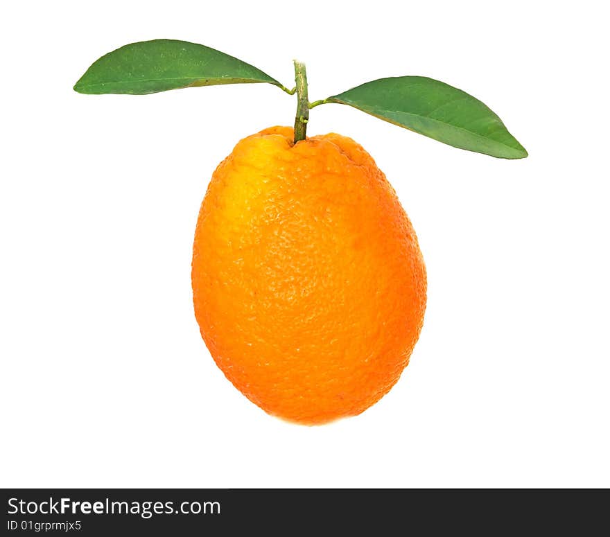 Orange Isolated On White Background