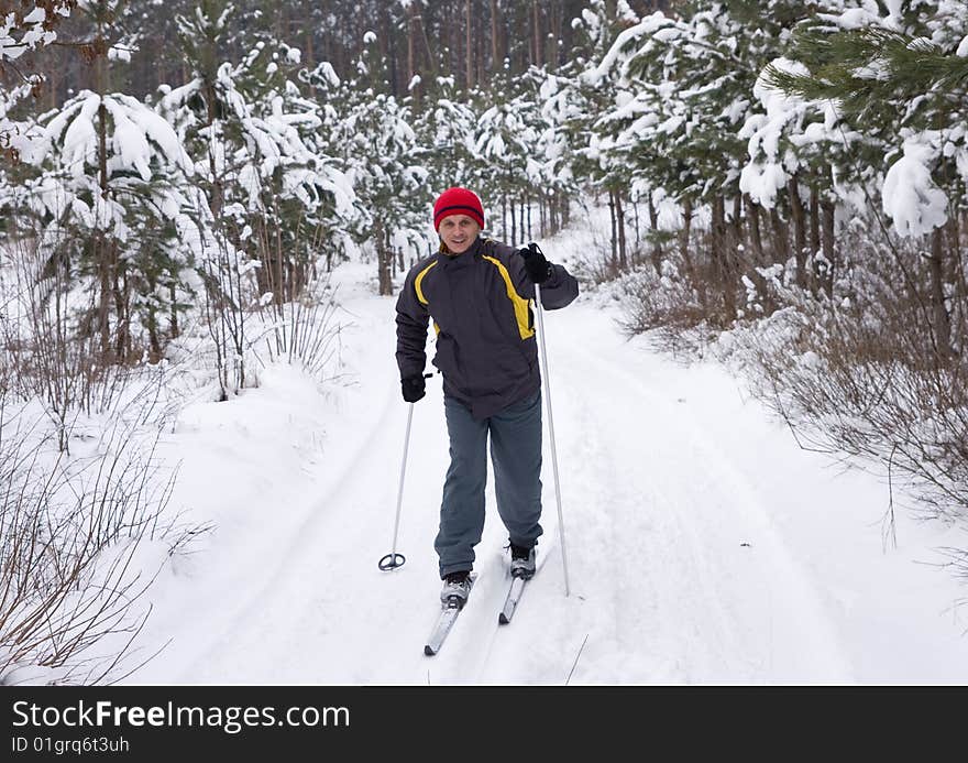 Men skiing in the winter forest. Men skiing in the winter forest