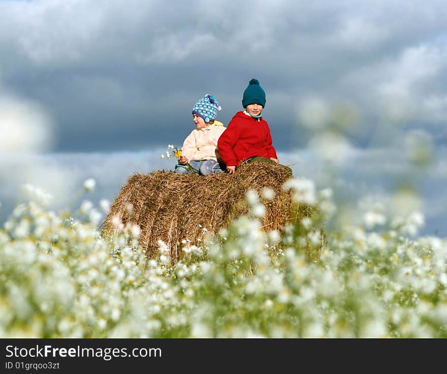 Couple children sitting on large hay bale, sister and brother on field with chamomile. Couple children sitting on large hay bale, sister and brother on field with chamomile