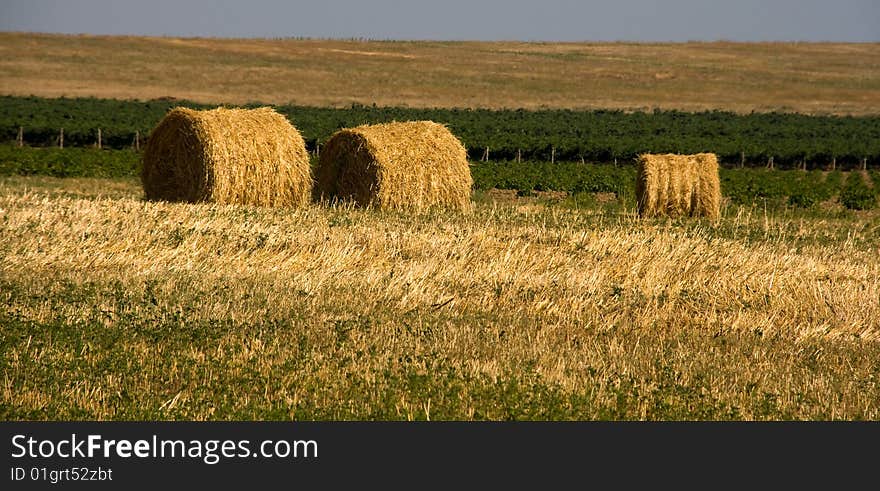 Hay bales in a field on a sunny day