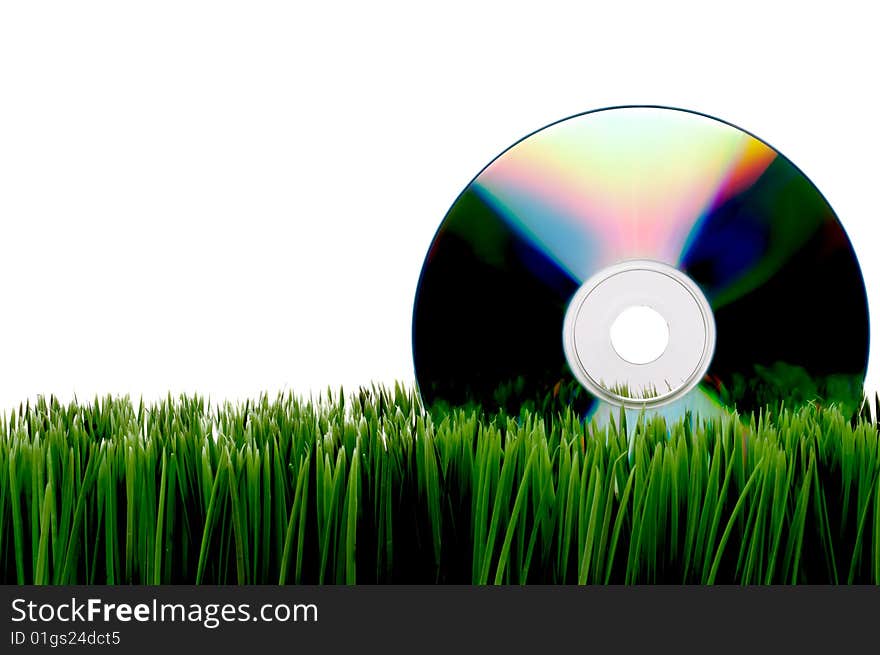 Compact computer data disk on green grass with a white background. Compact computer data disk on green grass with a white background