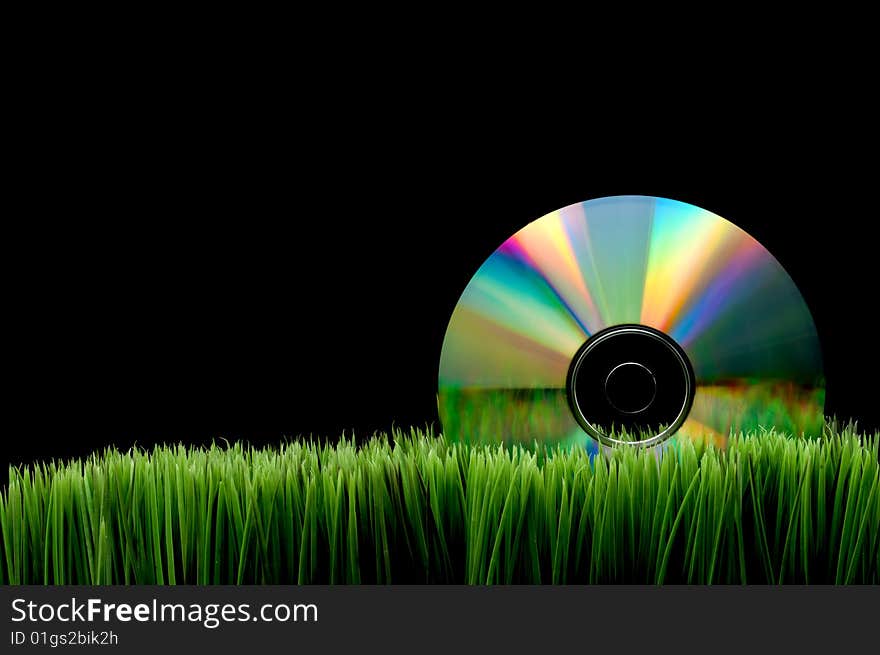 Compact computer data disk on green grass with a black background. Compact computer data disk on green grass with a black background