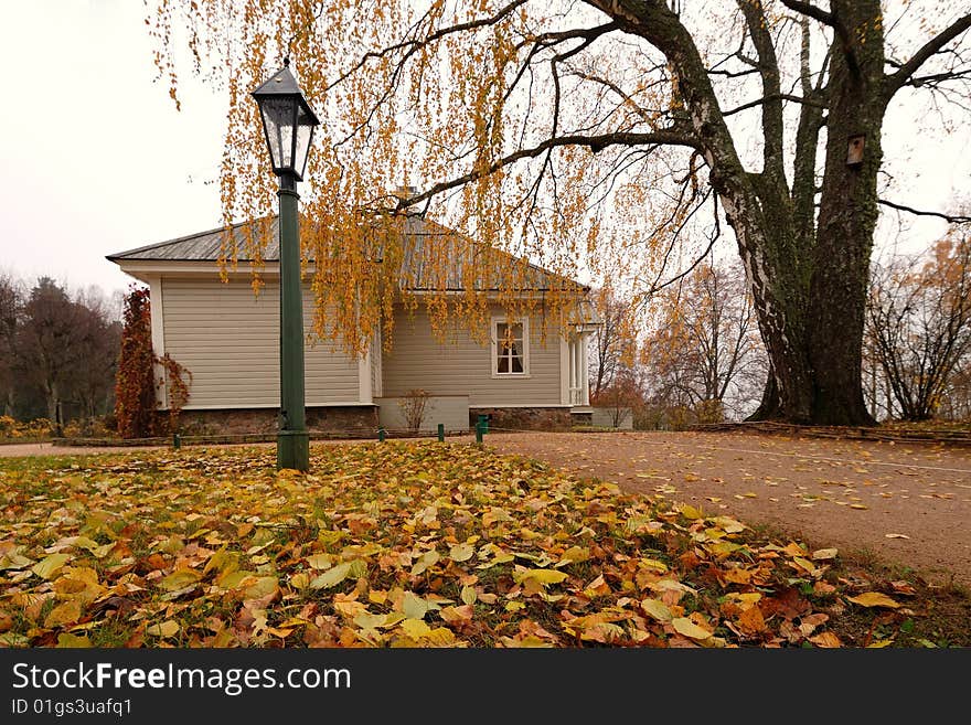 House  with the autumn birch