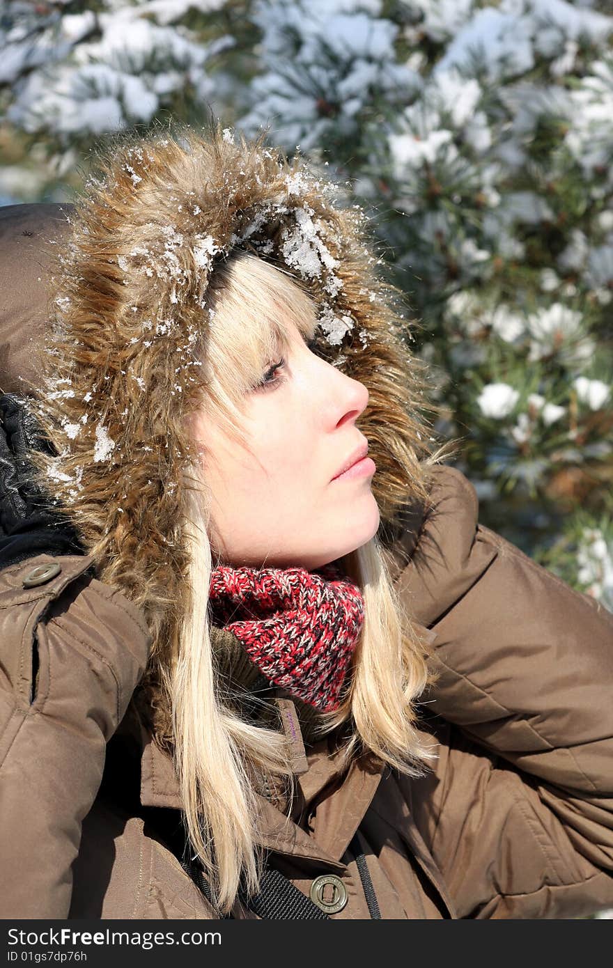 The winter pretty lady outdoor. The winter pretty lady outdoor