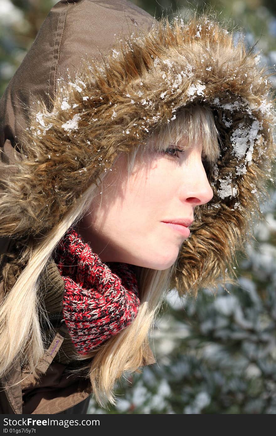 The winter pretty lady outdoor. The winter pretty lady outdoor