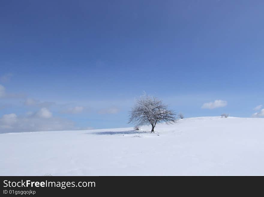 Beautifull mountain Tara, one of the beautifull places in Serbia.