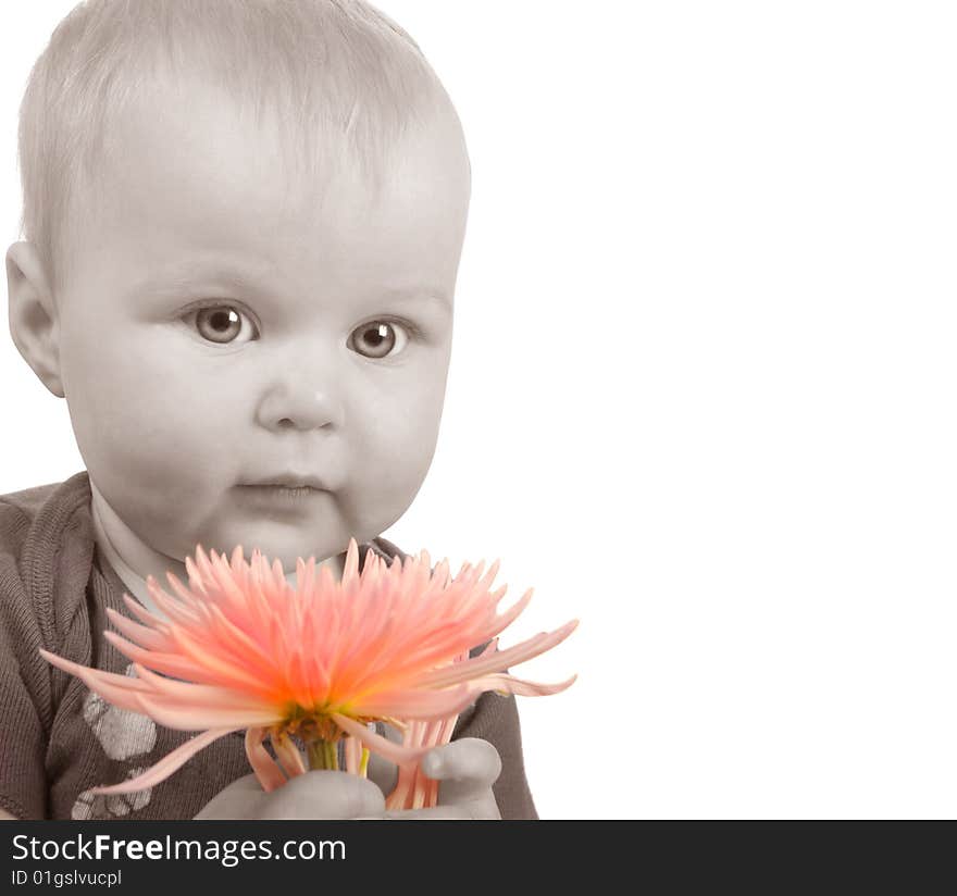 Beautiful Portrait Of a newborn girl Holding a Flower. Beautiful Portrait Of a newborn girl Holding a Flower