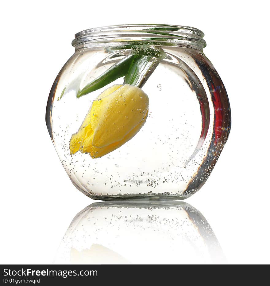 Yellow tulip in a glass bowl with water. Yellow tulip in a glass bowl with water