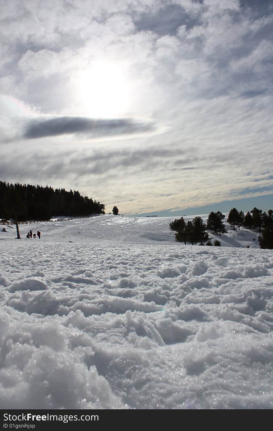 Snow and sky, forest on winter