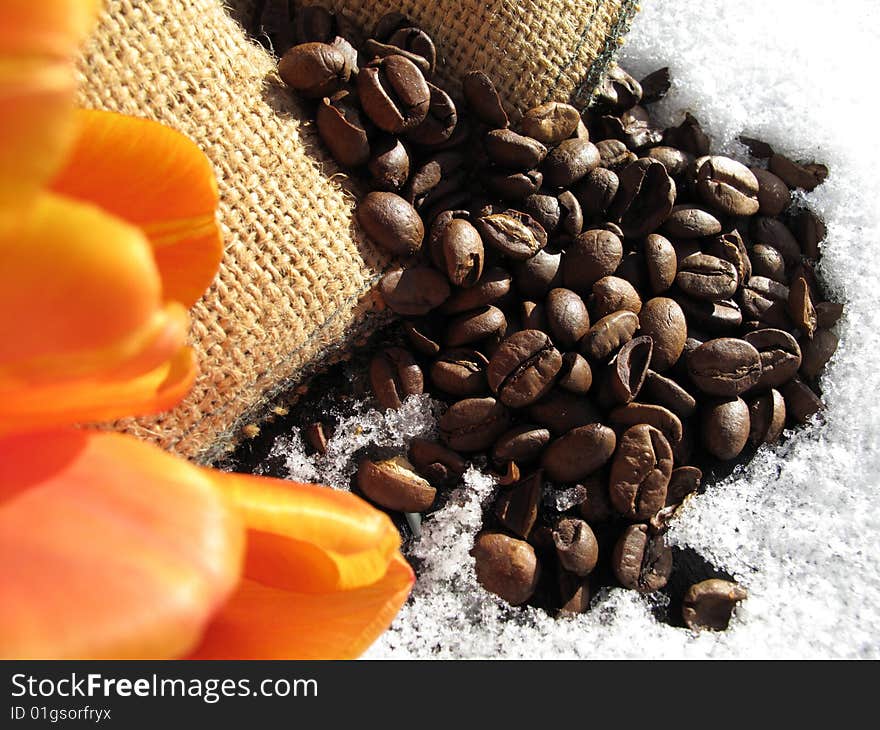 Coffee beans and tulips