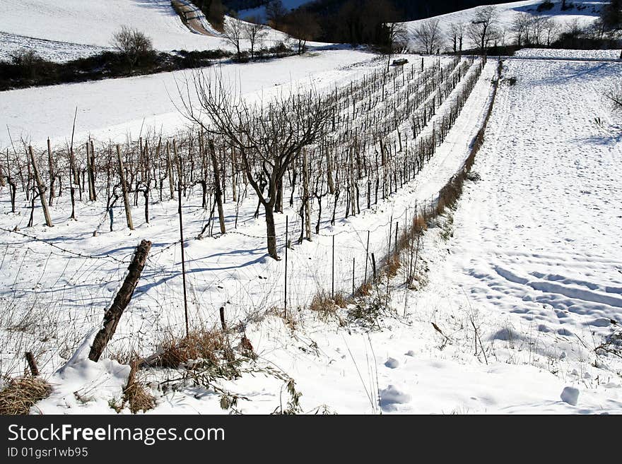 Mountain winter scene