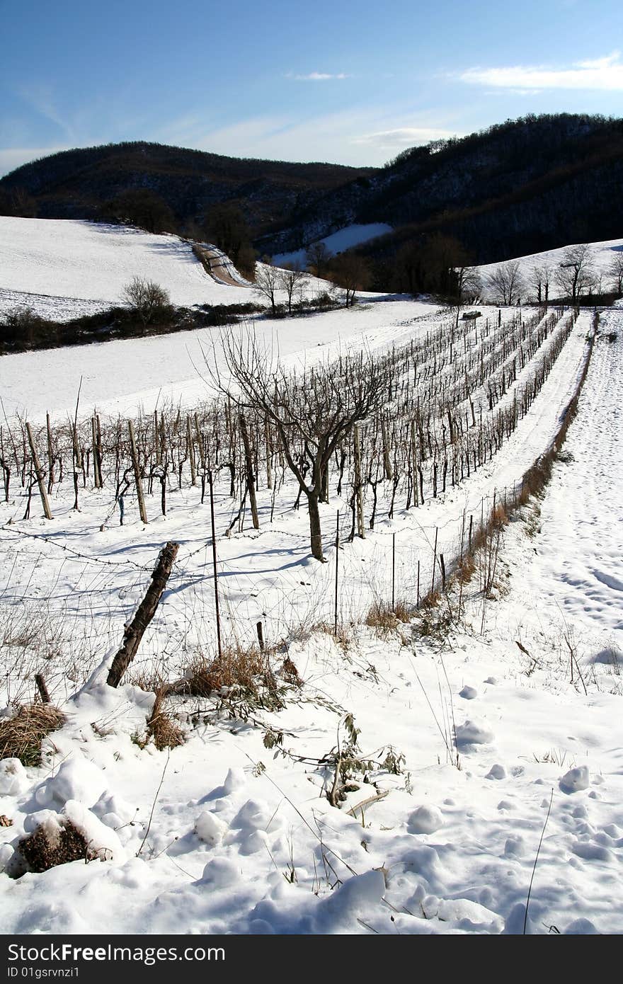 Mountain Winter Scene