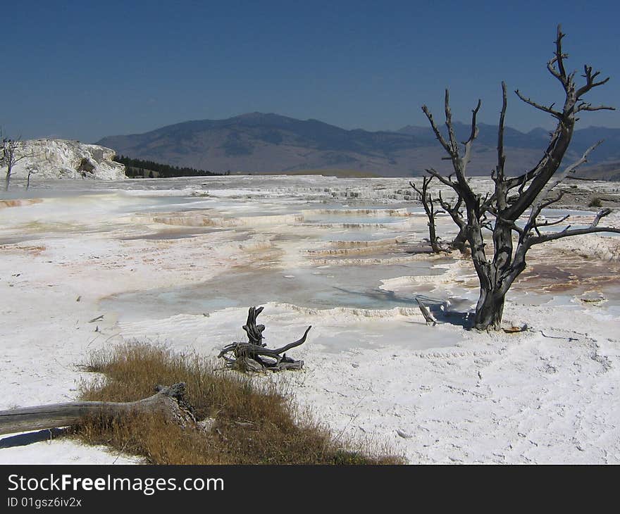 Yellowstone National Park August 2007
Wyoming
Sulfur not snow. Yellowstone National Park August 2007
Wyoming
Sulfur not snow