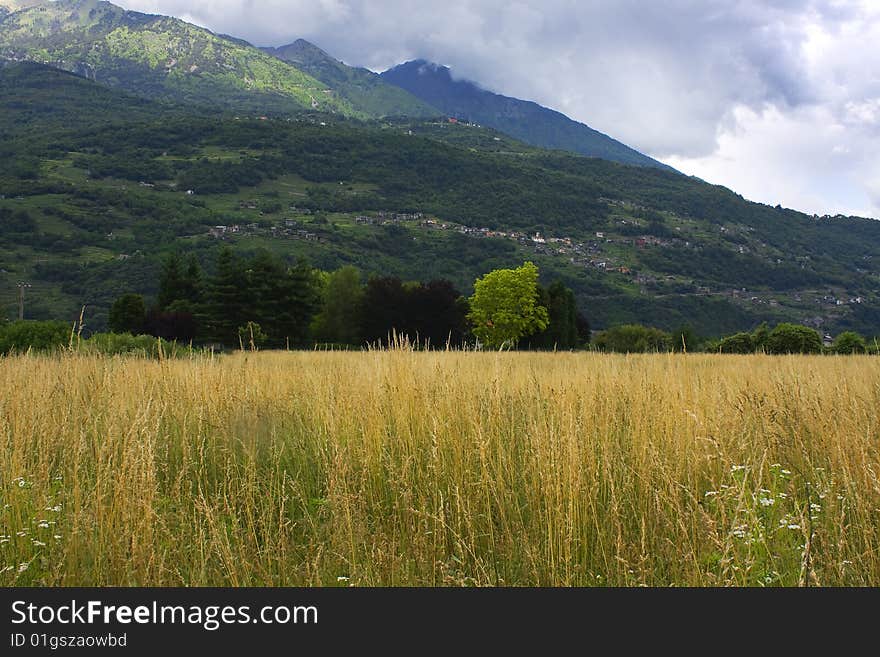 Panorama of the countryside with fields and trees. Panorama of the countryside with fields and trees