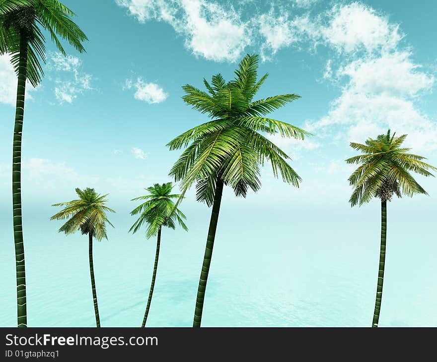 Beautiful summer seascape with palms. Beautiful summer seascape with palms