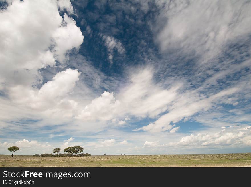 Cloudscape over grasslands with isolated trees, Namibia, Africa