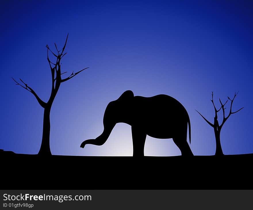 Elephant against a wild landscape. Elephant against a wild landscape.