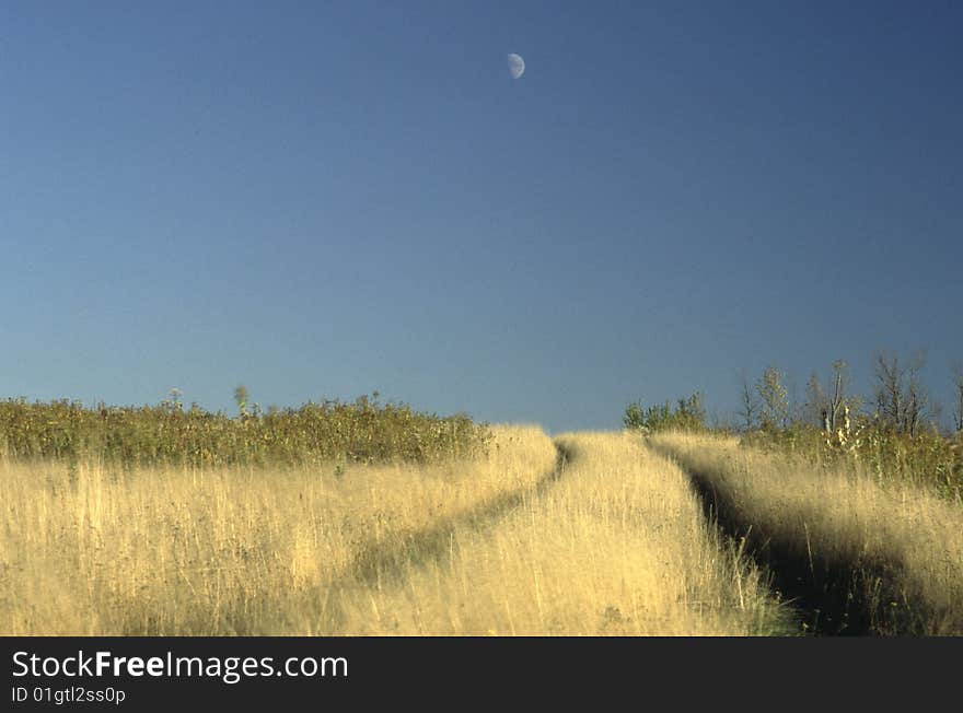 Field Road under half moon