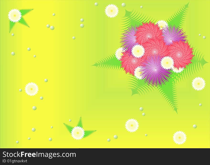 Bouquet of beautiful asters on gently green background. Bouquet of beautiful asters on gently green background