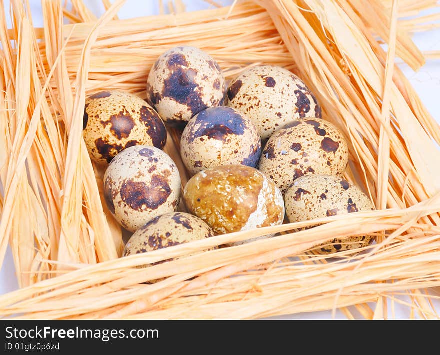 Few spotted eggs lie on straw